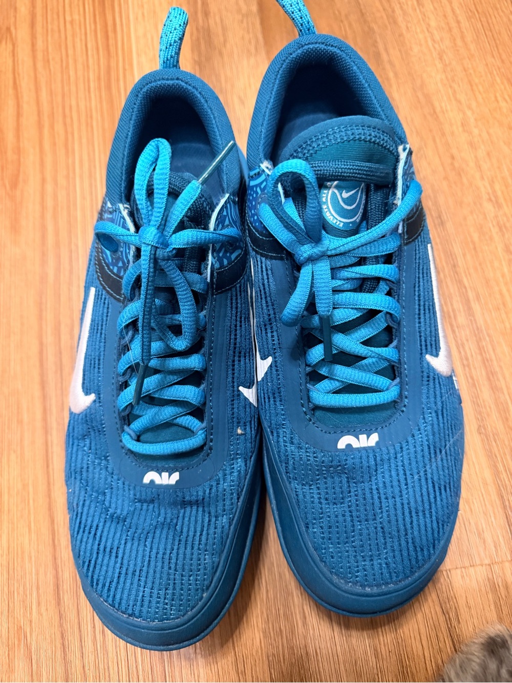 Nike Men’s Teal and Blue Performance Sneakers with White Swoosh